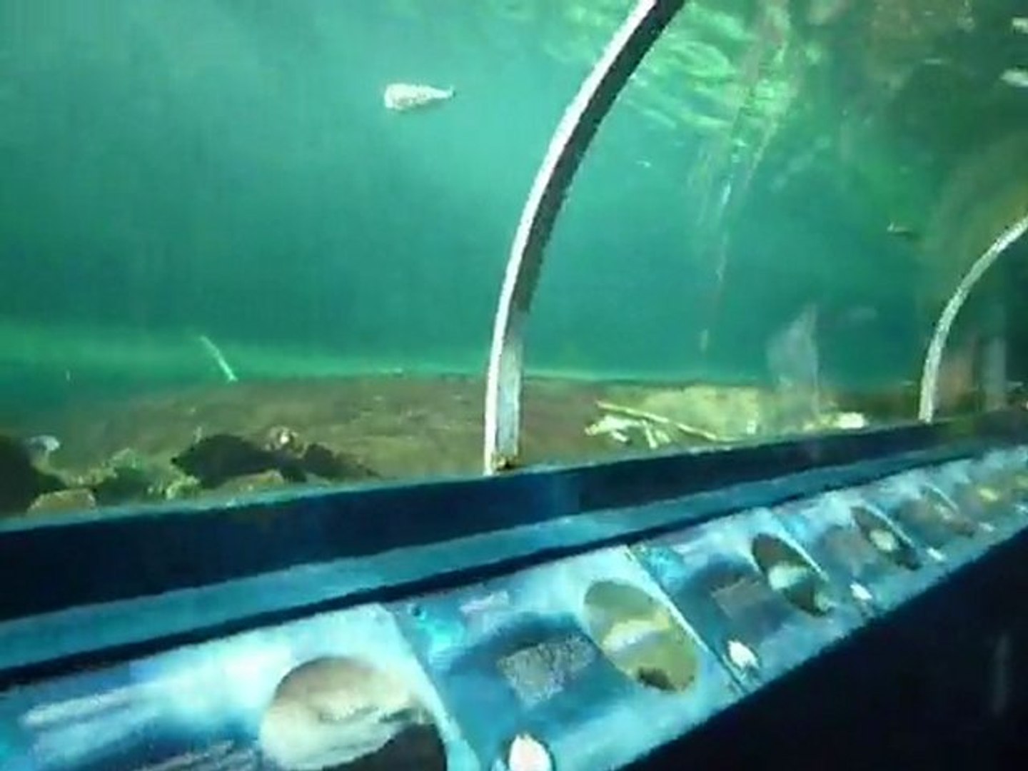 ⁣Aquarium Sydney