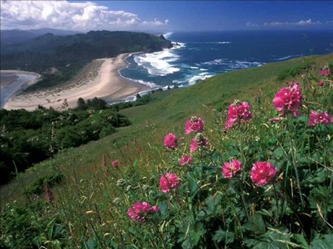 Erkan Oğur - Bugün ben bir güzel gördüm