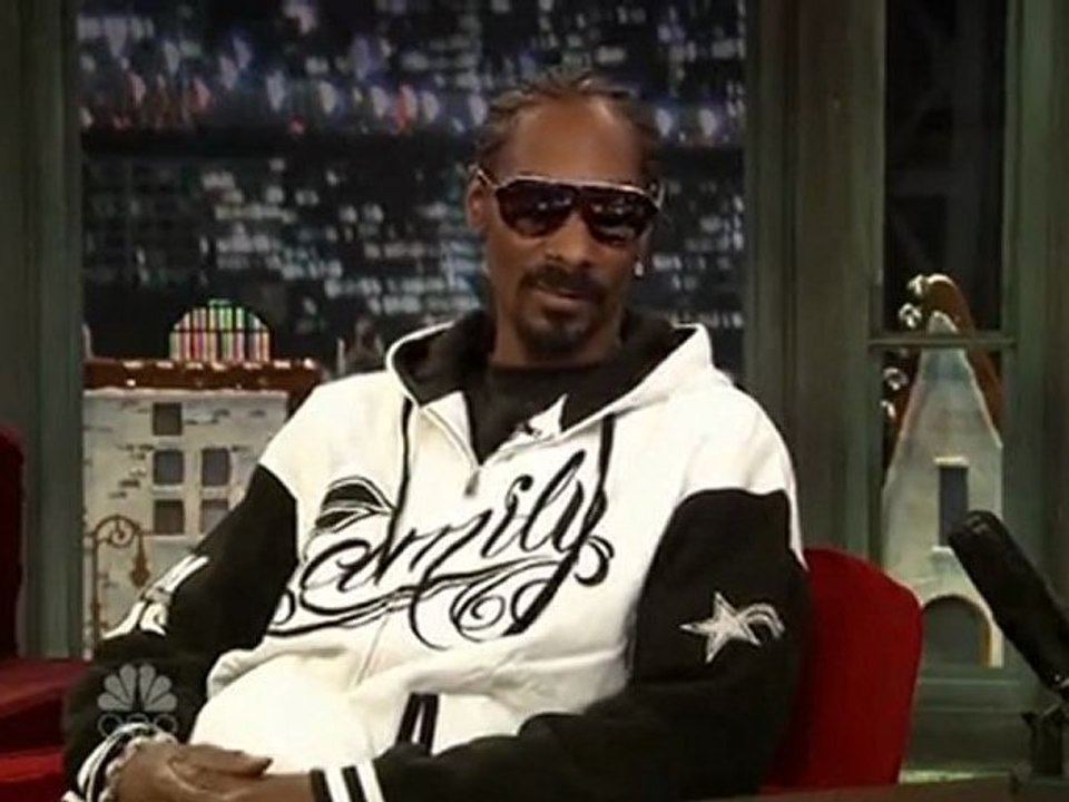 snoop jim fal int