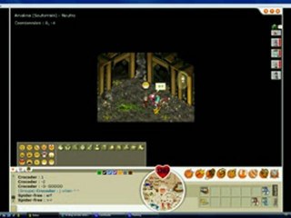 Cash Cash: Croco Bojoi & Spider in Full Frenzy 🕷️