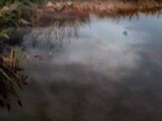 knife grizzly bear (10/12/09 au lycée)