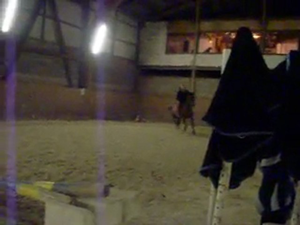 ideale ecurie vourles