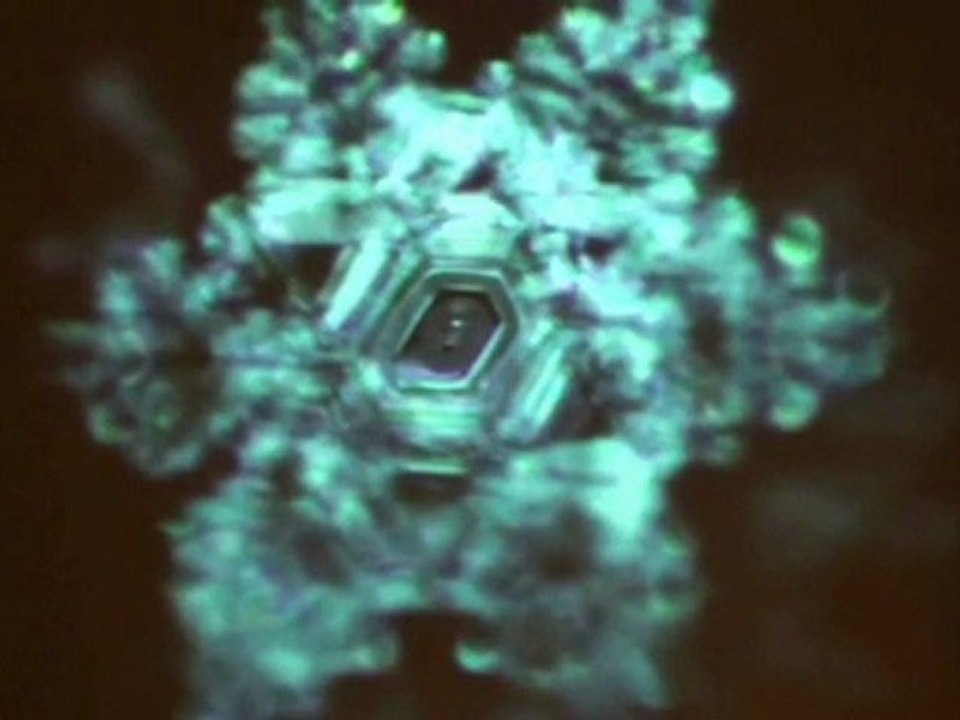Der Austro Wasserkristall von Dr. Masaru Emoto