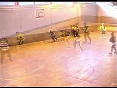 Camon N3 vs Vitry N3 Roller Hockey Coupe France 2009
