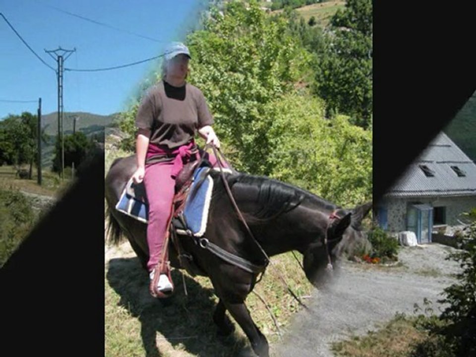Poulain video