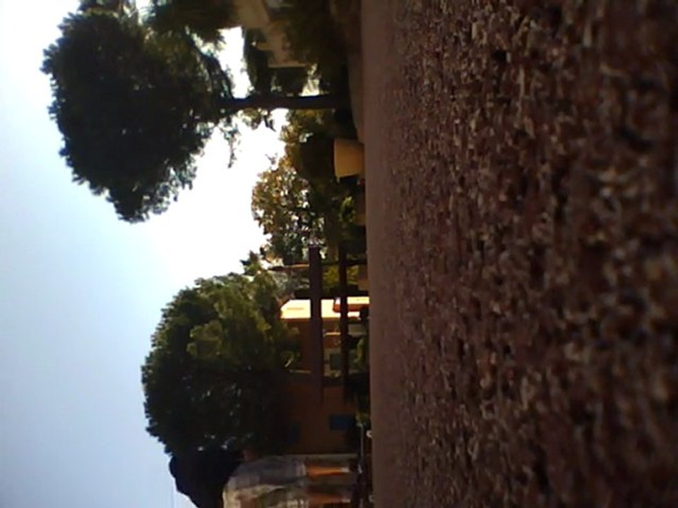 Heelflips.