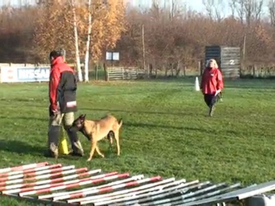 berger allemand passage brevet