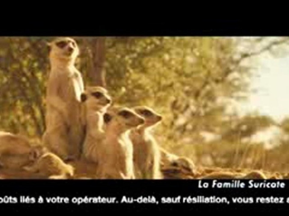 CANAL+ PUB NOEL 2009 - CADEAUX NOVEMBRE