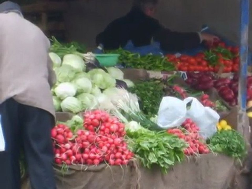 ugur kaya/serkan aydan