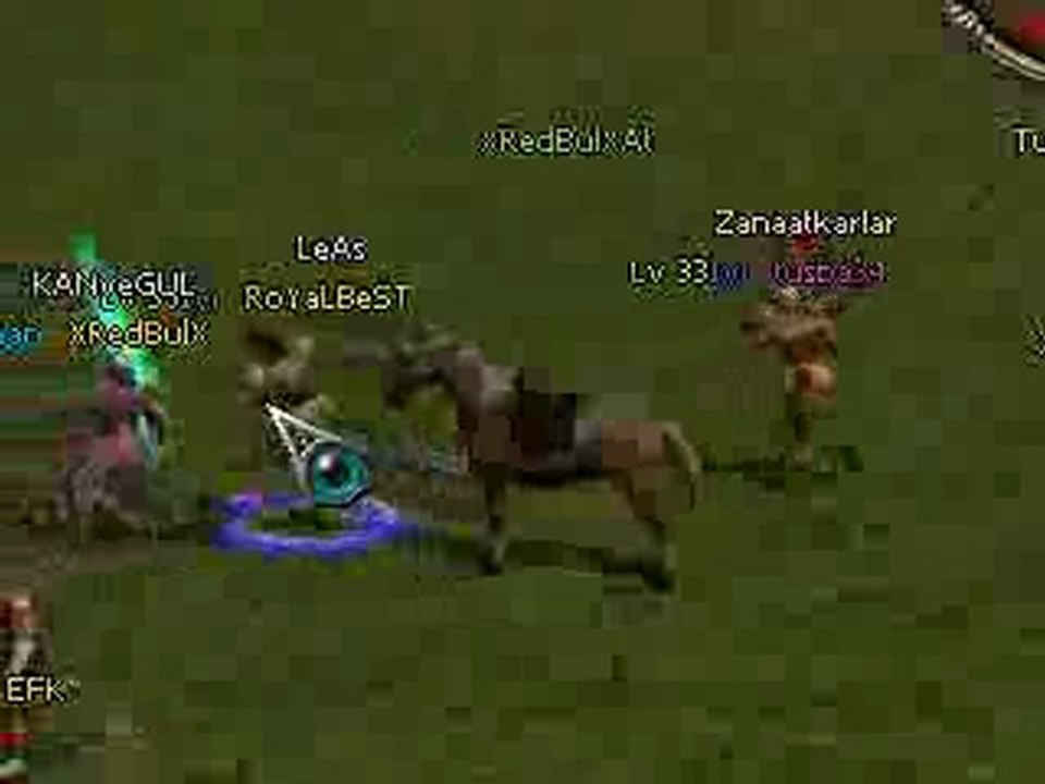 ss royalbest ch1 Turkuaz