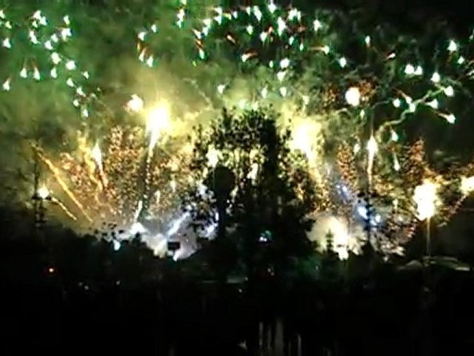 Feu Artifice Disney soirée CE LIGNES AF DEC 2009