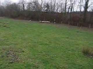 Coco, entrainement du 12 décembre 09