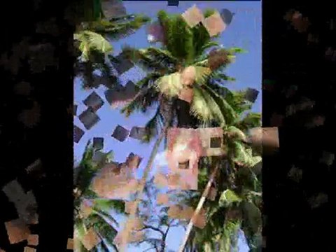 vacances martinique 3