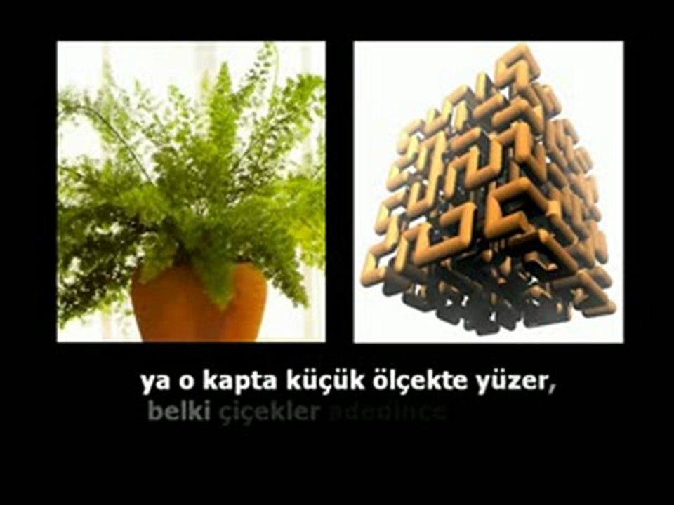 ---HÜVE'DEKİ HAVA---