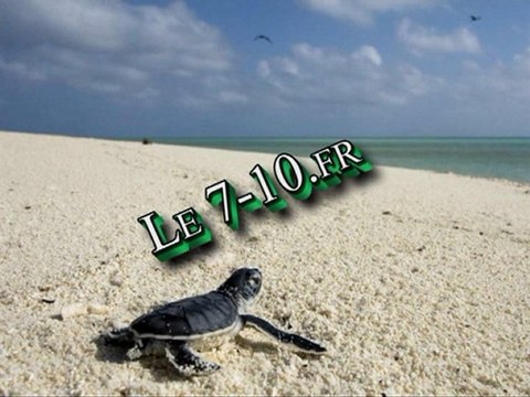 interview Jacques Perrin : Océans ( le 27 janvier 2010)