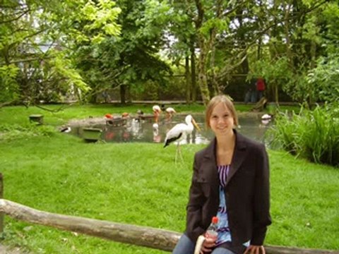 AMIES IS FIDELE A MON BLOG