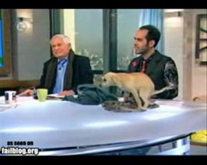 Köpek, canlı yayının içine etti