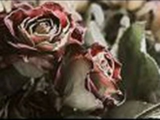 yaralıyım ben yaralı DURMUŞ BOLAKAR