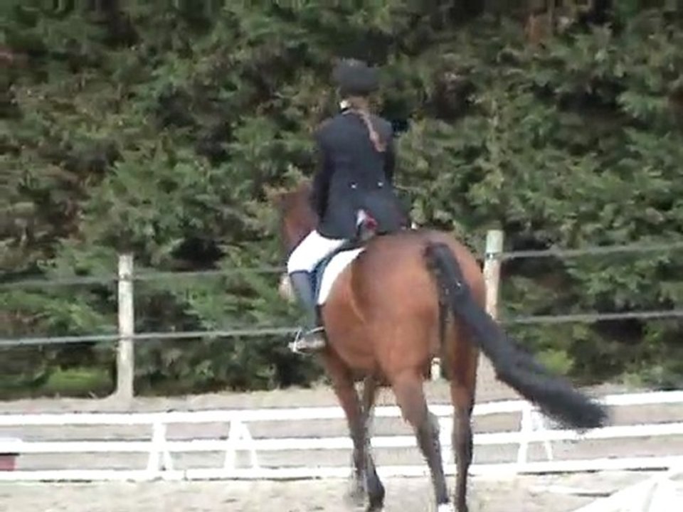 Dressage avec Java