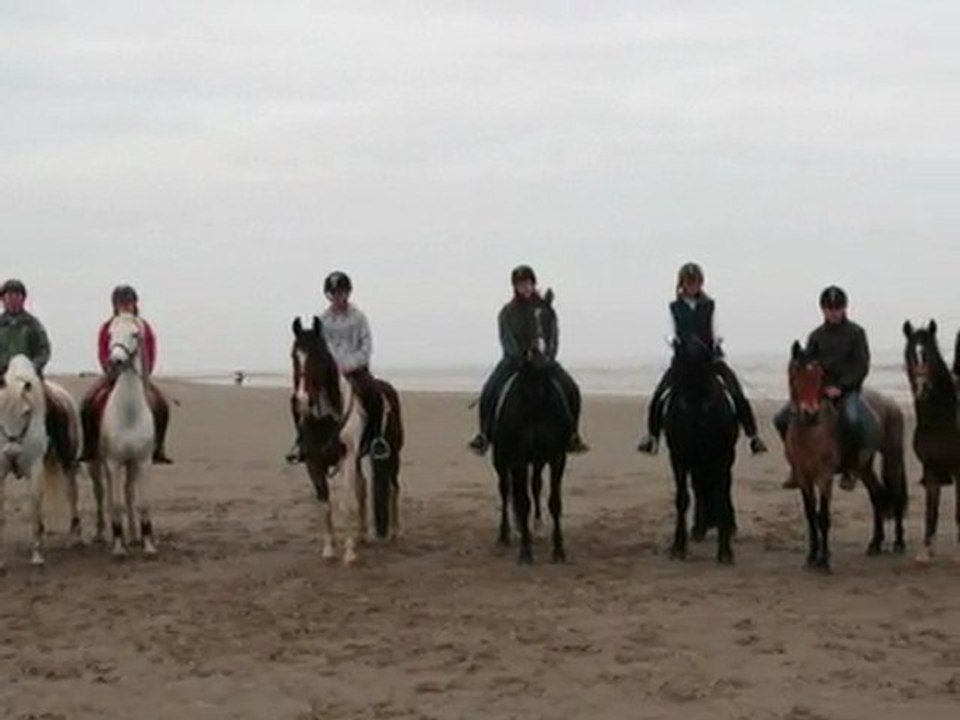 Horse's Farm vidéo
