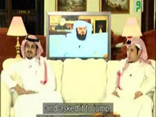 إضحك مع الشيخ العريفي