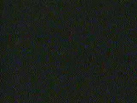 Can't Stop Live-Red Hot Chili Peppers