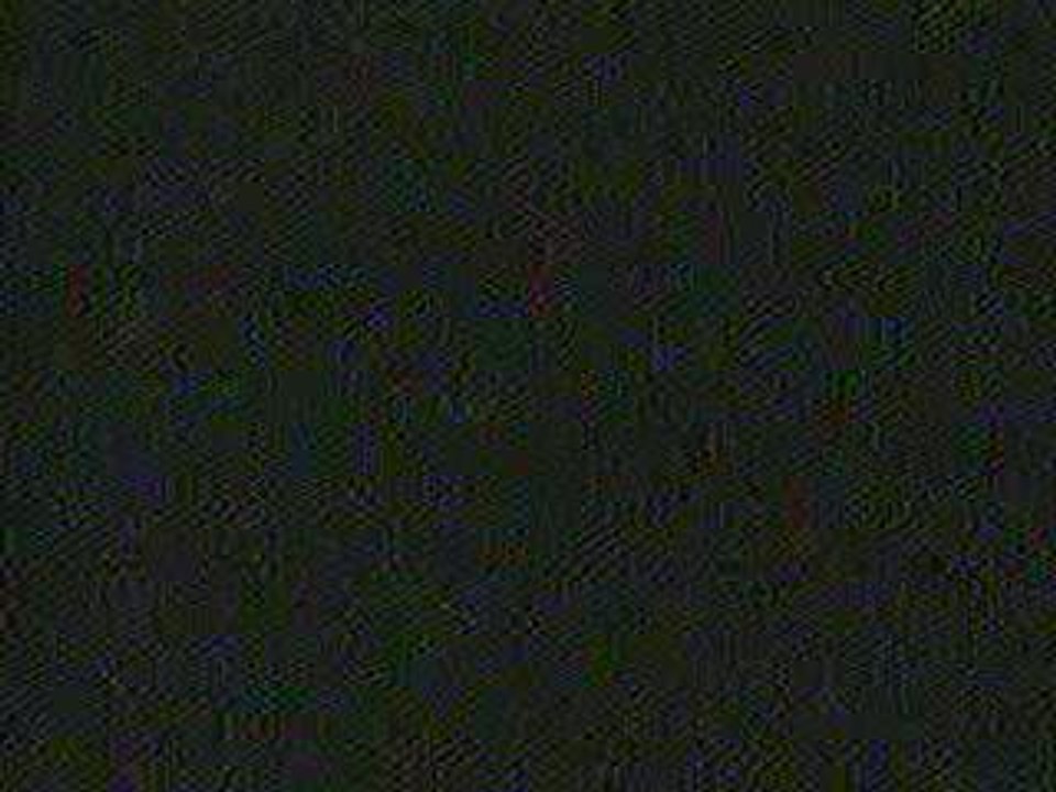 Can't Stop Live-Red Hot Chili Peppers