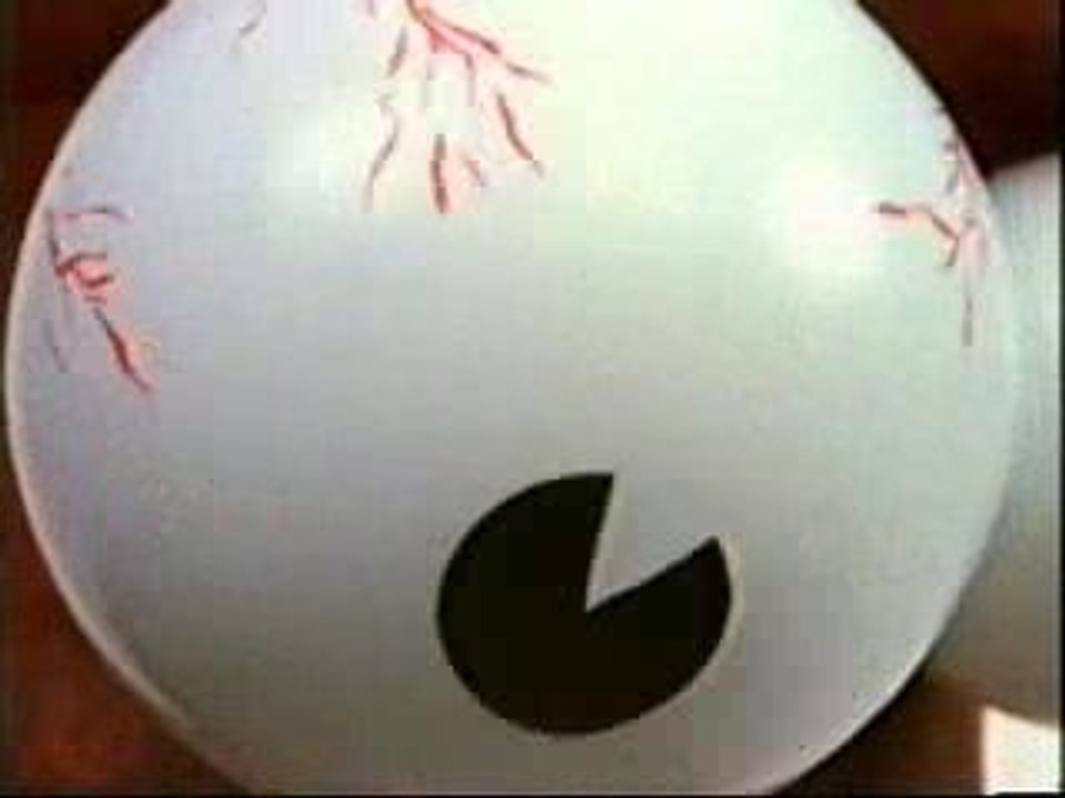 Peperami 1995