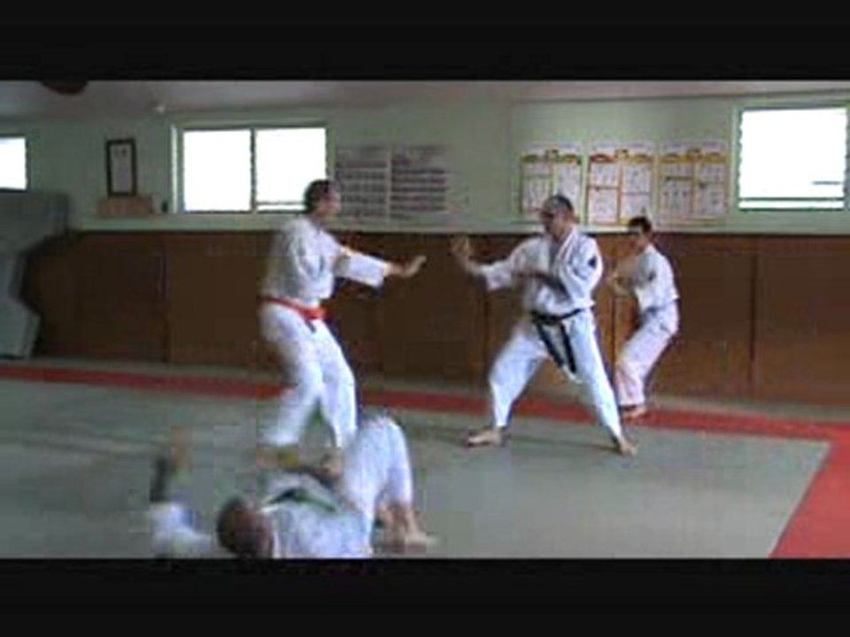 Nihon Tai-Jitsu 3ème Kata