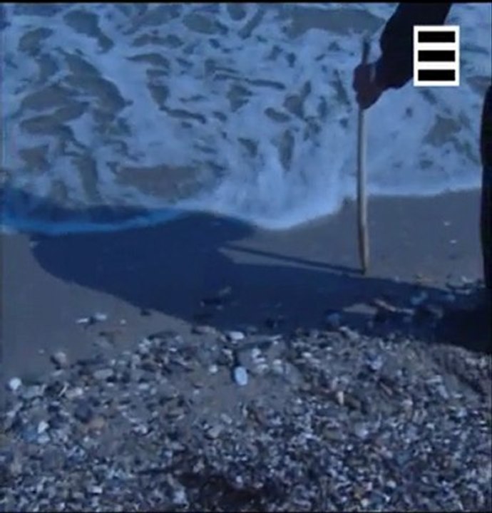 L univers de Stephen Hawking  Voir pour croire 1