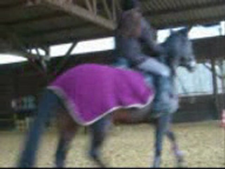 Cours dimaanche matin!!=)