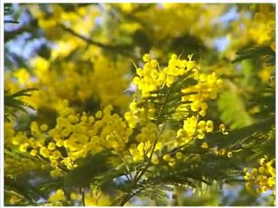 Vidéo Ile d'Oléron Tourisme,  ( Marie )