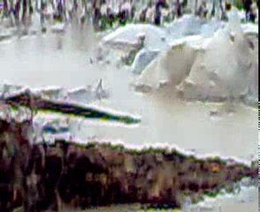 YALOVA  SEL  BASKINI