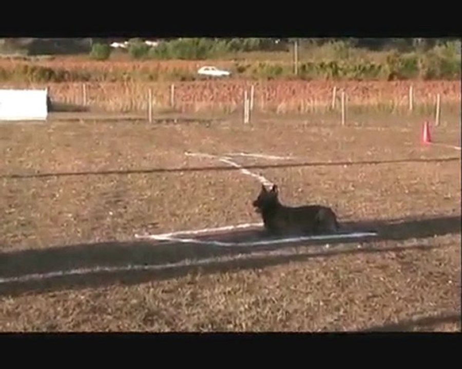 Croco vidéo brevet ring