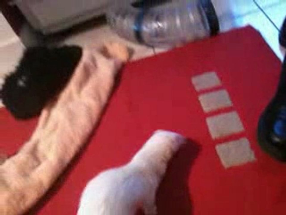 Photo 003