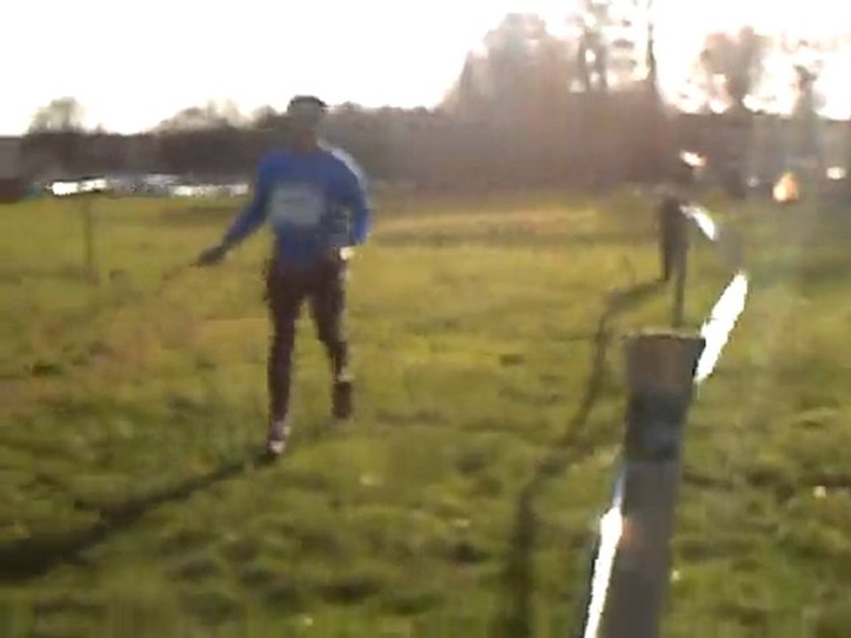 Copain cairn terrier en canicross