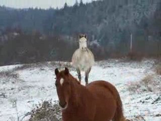 arrivée Quiara 131209