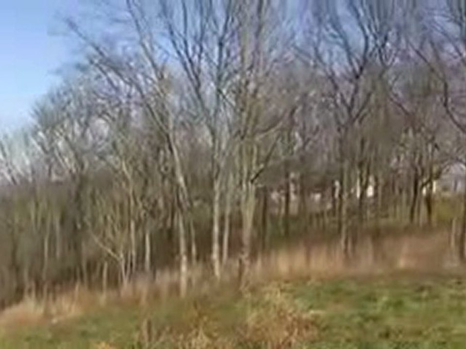 Lot for sale. Avalon Franklin TN