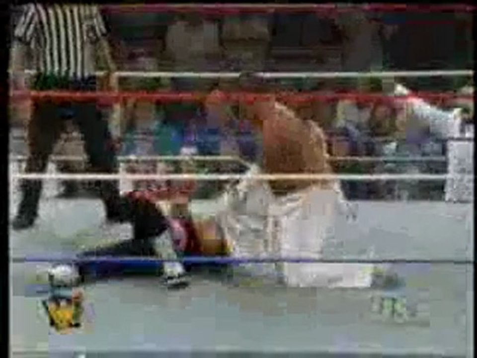 Bret Hart vs. Hakushi 7/24/95 (RAW)