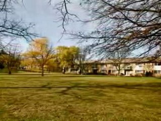 Chicago Real Estate Deal 1Bed/1Bath Condo