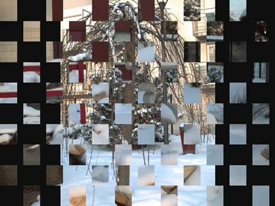 Jardin Jap sous la neige