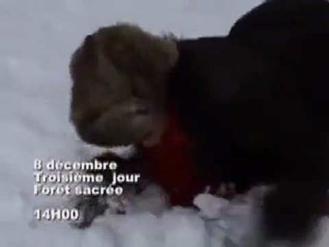 Rencontre avec la chamane Diane Bellanger