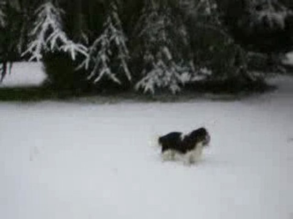 Dans la neige