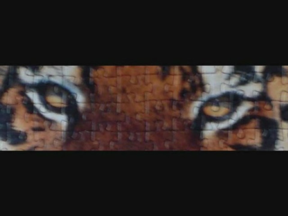 tiger