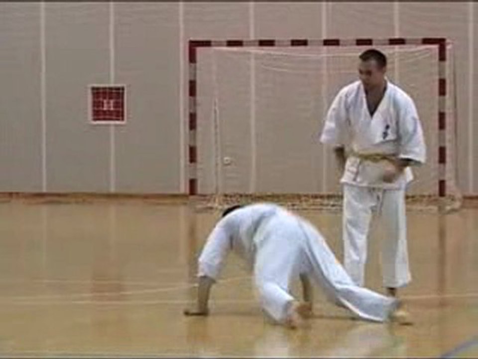 selfdefence