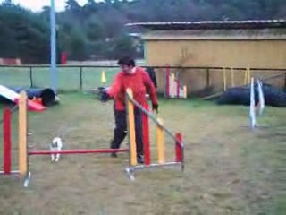 TCC CREUTZWALD ENTRAINT DU 12-12-09