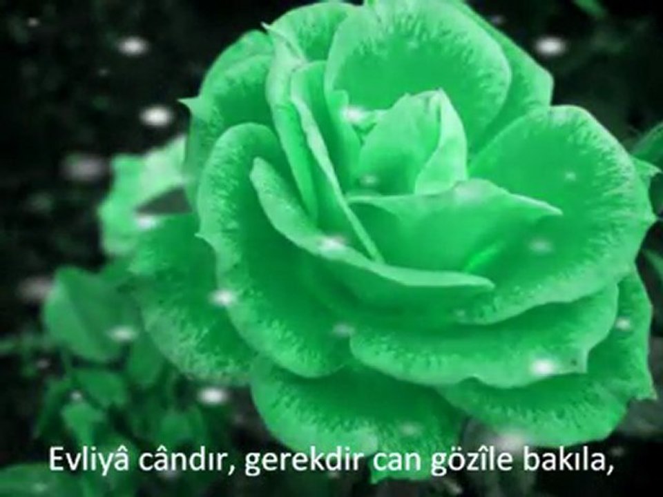 evliya2