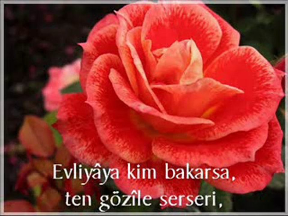 evliya1 şiir