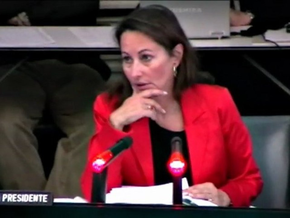 Ségolène Royal, Heuliez New World et les Nations Unies
