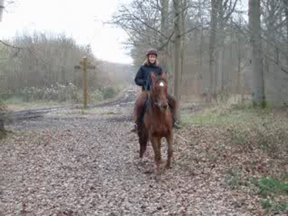 Pas espagnol en foret